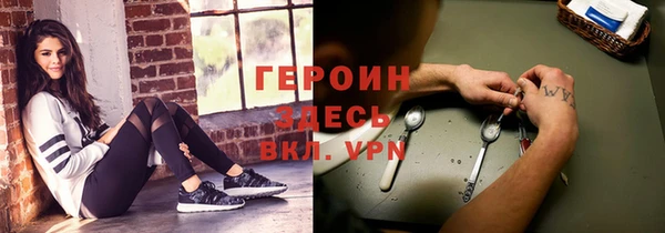 стаф Алексин