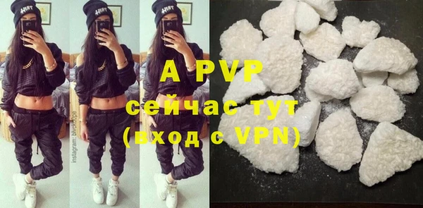 стаф Алексин