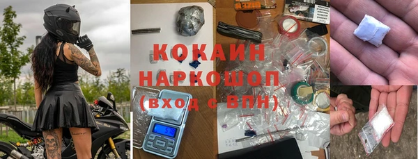 стаф Алексин