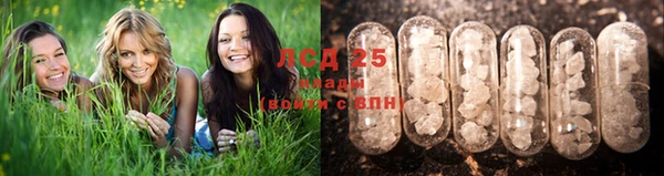 стаф Алексин