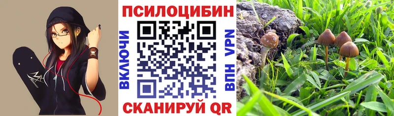 Галлюциногенные грибы мицелий  Балабаново 