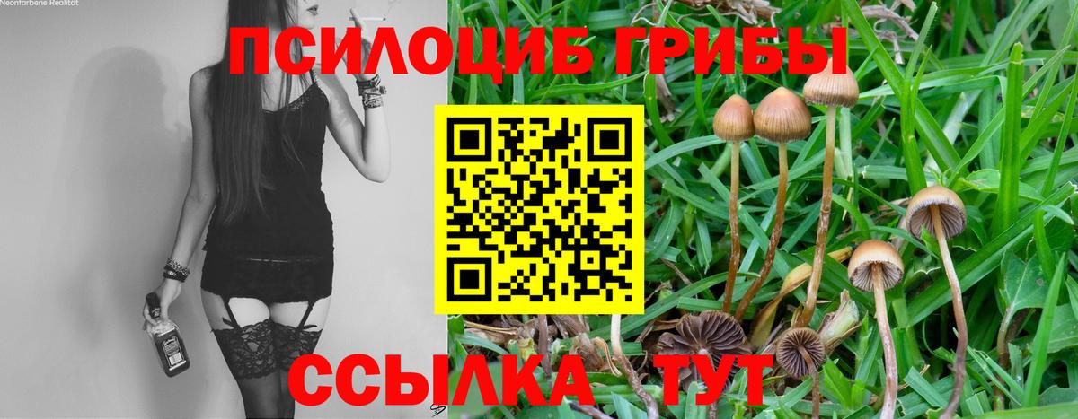 Галлюциногенные грибы ЛСД Балабаново